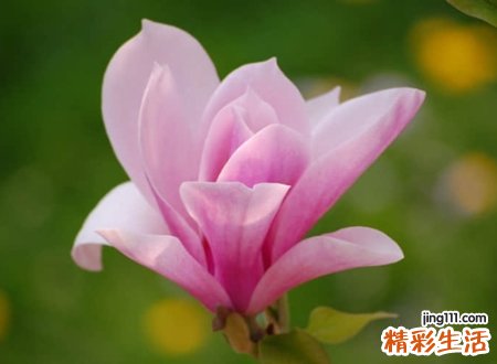 温暖又温馨的抖音网名，抖音很火很有情调的个性名字