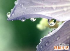 小清新类型的抖音网名，抖音取个有内涵的高雅名字