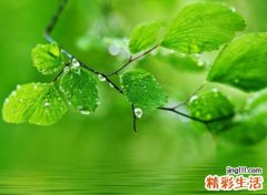 高冷的快手网名，高贵冷艳的快手个性名字