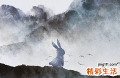 11月属兔运势,11月属兔的运势财运