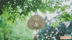 2022年小暑是几月几号 小暑节气的含义是什么