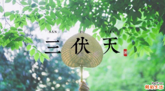 初伏中伏末伏是什么意思？初伏中伏末伏注意事项有哪些？