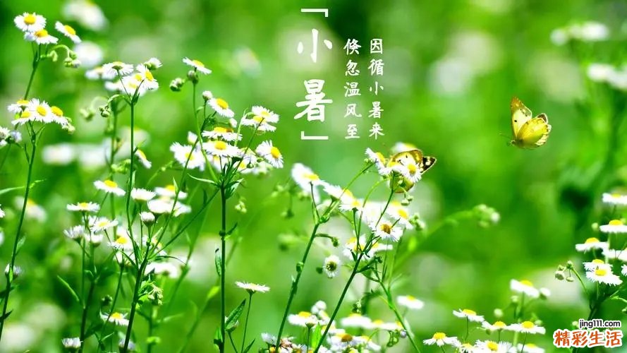 小暑节气的特点和民俗 小暑节气的风俗饮食