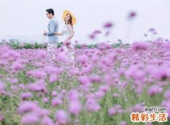 两个属狗的人在一起合适吗，两个同岁属狗的结婚相冲吗