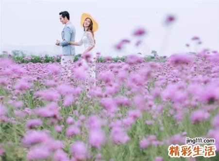两个属狗的人在一起合适吗，两个同岁属狗的结婚相冲吗