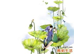 高大上的微信网名大全，大气上档次的微信高调名字