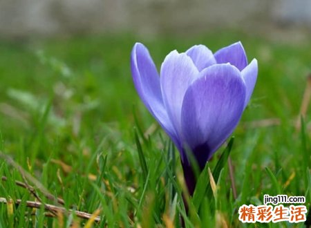有意境的快手长网名，独一无二最火爆的快手昵称