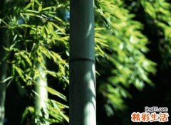 比较经典的微信网名设计，2020最好听的流行微信昵称