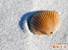 经典英语抖音名字，有哲理英文抖音网名带翻译