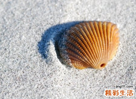 经典英语抖音名字，有哲理英文抖音网名带翻译
