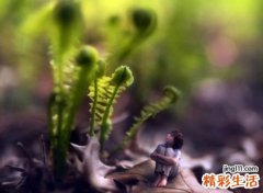 拼搏奋斗的励志微信网名，为梦想拼搏的微信个性名字
