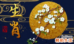 1970年今年2022运势 1970属狗2022每月运程