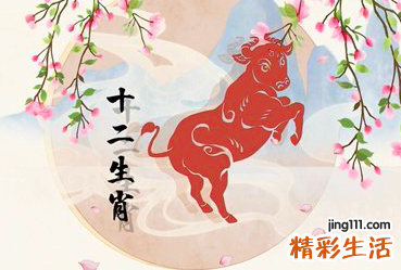 今天属牛的运势 属牛今日运程每日运势