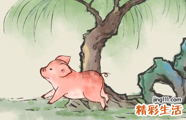 1983年属猪今年运势 1983年属猪人的全年运势