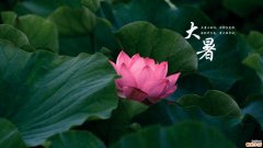 大暑的特点和节气文化 大暑节气有什么禁忌