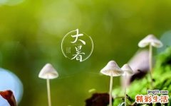 大暑节气是入伏吗 大暑和入伏有什么区别