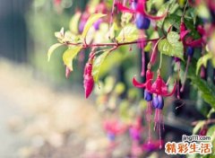 靠自己努力奋斗的微信网名，人生励志有含义的微信名