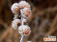 心被伤透了的抖音昵称，让对方看到心疼的抖音网名