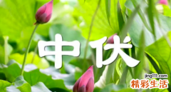 中伏日子好吗 中伏是二十四节气吗