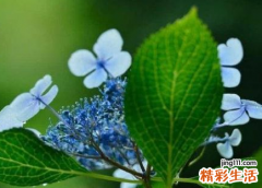 2022年立秋后多久才会凉快 立秋后还会热多久