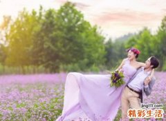 狗和兔子属相合不合，为什么兔和狗最投缘