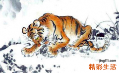 农历十月份的虎宝宝好吗 虎宝宝9月出生吉日