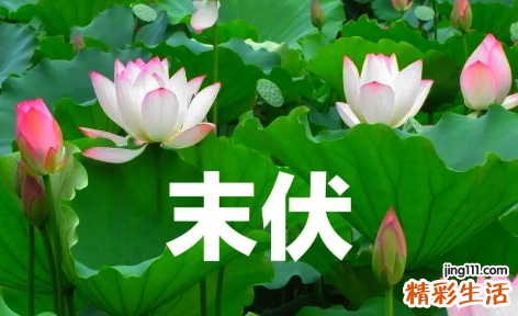 末伏是三伏天吗 三伏天的末伏是什么意思