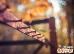 微信流行名字，2020最潮独一无二微信名字