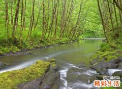 微信个性名字，简单好听的微信网名