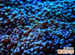 最新最全微信个性网名，幽默搞笑的微信群名字