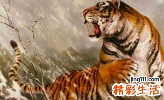 1974年属虎是什么命女 1974年属虎本命年适合戴什么