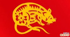 1972年的鼠能活多少岁 1972年属鼠后半生命运怎么样