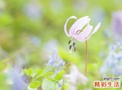 好听又难忘的扣扣网名，独特简单的qq个性名字