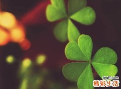 非主流可爱微信昵称，时尚最好听的微信个性网名