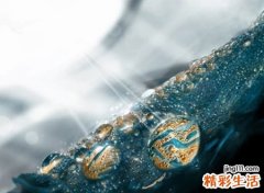 既俏皮又卡通的微信网名，活泼可爱的微信清新昵称