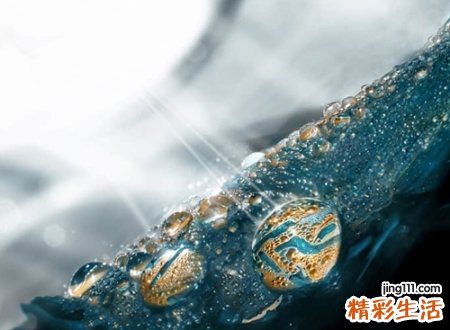 既俏皮又卡通的微信网名，活泼可爱的微信清新昵称