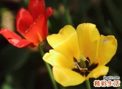 简单的微信昵称大全，内涵有深意的经典个性网名