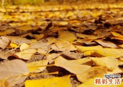 梦见自己的朋友死了是什么意思，梦到身边的好朋友死了