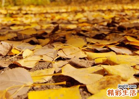 梦见自己的朋友死了是什么意思，梦到身边的好朋友死了