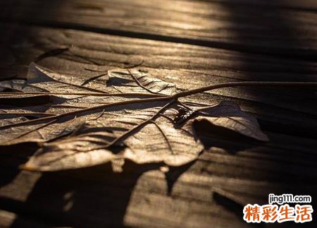 梦见好朋友死了是什么意思，做梦梦到闺蜜突然去世了