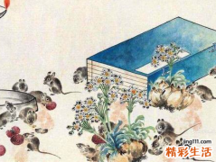 72年属鼠50岁有一灾 72年属鼠50岁后命运