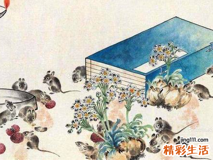 72年属鼠50岁有一灾 72年属鼠50岁后命运