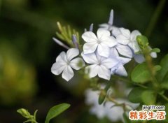 最时尚的微信昵称，时尚有内涵的个性名字