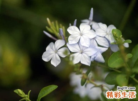 最时尚的微信昵称，时尚有内涵的个性名字