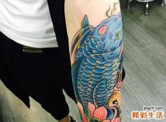 纹身鲤鱼讲究和忌讳