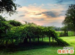 简洁的微信网名大全，简单又有内涵的个性名字