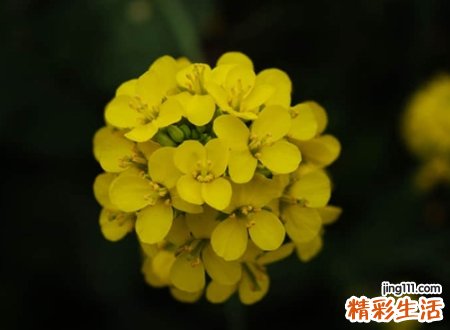 比较可爱的微信名字，独一无二的潮流微信名称