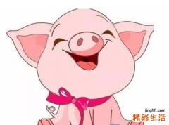属猪的几月出生最好命运如何 属猪的命运一生怎么样