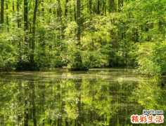 7月12日是什么日子 7月12日是黄道吉日吗