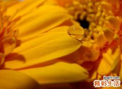 抖音经典网名，小清新个性抖音昵称